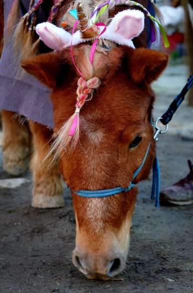 Küss mich und ich werde eine Prinzenrolle